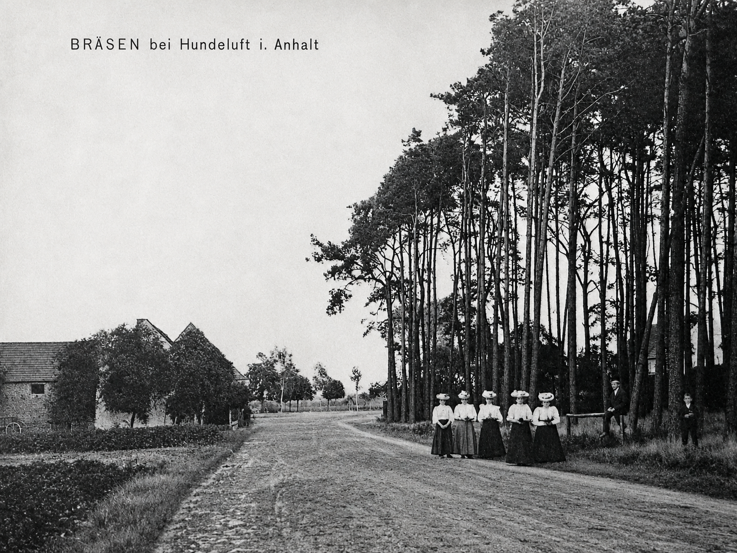 Historische Postkarte „Bräsen bei Hundeluft i. Anhalt“: Sandstraße am Kiefernwald, Frauen in weißen Blusen und langen Röcken, links die Höfe des Dorfes